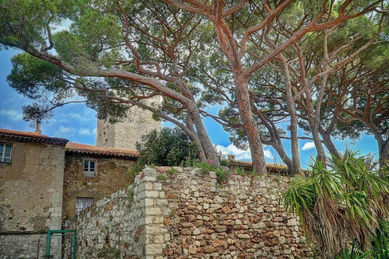 Immogroom - 5 Min From Beaches - Suquet - Ac Cannes Zewnętrze zdjęcie